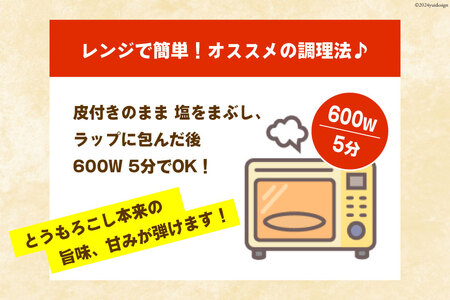 【2025年発送】『魅惑のとうもろこし』 ドルチェドリーム × 12本 約4kg [メディアブレインアグリエール 山梨県 中央市 21470903] とうもろこし 野菜 トウモロコシ スイートコーン コーン 甘い 朝採り 大粒 新鮮