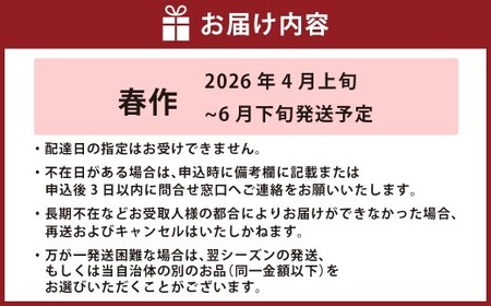 【2026年発送】 春作 訳あり 桃太郎トマト 約4kg [ヨダファーム 山梨県 中央市 21470975] 規格外 家庭用 不揃い トマト とまと 野菜 やさい 4キロ 季節限定 期間限定 産地直送 山梨県産 訳アリ tomato 【2026年4月上旬-6月下旬発送予定】