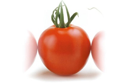 上級 二つ星 至高のフルーツトマト pomodia ポモディア 約1kg（18～30個）/ 農事組合法人 た・から / 山梨県 中央市