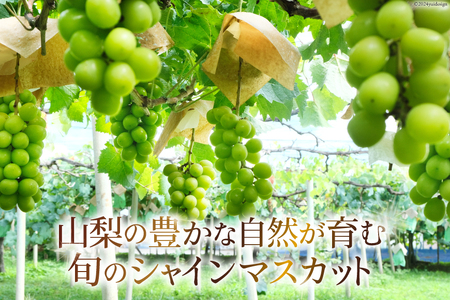 【2025年発送】 ぶどう 山梨県産 シャインマスカット 約1.8kg [株式会社えべし 山梨県 中央市 21470730] フルーツ 果物 くだもの ブドウ シャイン マスカット 葡萄 期間限定 季節限定