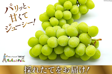 2025年発送】 ぶどう 山梨県産 シャインマスカット 約1.8kg [株式会社えべし 山梨県 中央市 21470730] フルーツ 果物 くだもの  ブドウ シャイン マスカット 葡萄 期間限定 季節限定 | 山梨県中央市 | ふるさと納税サイト「ふるなび」