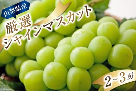 R3年度出荷分先行受付 新鮮 甘い 山梨県中央市産シャインマスカット2房 3房 道の駅とよとみ より厳選したものを出荷 山梨県中央市 ふるさと納税サイト ふるなび R3年度出荷分先行受付 新鮮 甘い 山梨県中央市産シャインマスカット2房 3房 道の駅とよとみ より厳選したものを出荷 山梨県中央市 ふるさと納税サイト ふるなび