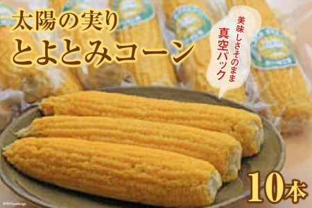 ゴールドラッシュの美味しさをそのまま『太陽の実り とよとみコーン』