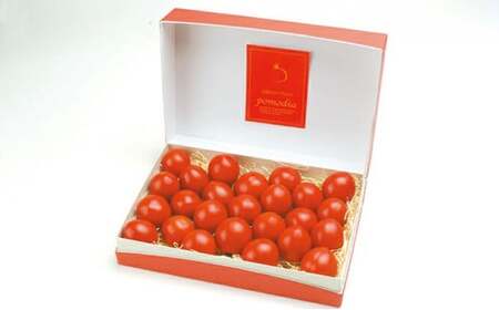 上級 二つ星 至高のフルーツトマト pomodia ポモディア 約1kg（18～30個） [農事組合法人 た・から 山梨県 中央市 21470256] トマト とまと フルーツ 野菜 やさい 1キロ 数量限定 期間限定【2025年11月上旬-2026年2月上旬発送予定】