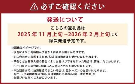 上級 二つ星 至高のフルーツトマト pomodia ポモディア 約1kg（18～30個） [農事組合法人 た・から 山梨県 中央市 21470256] トマト とまと フルーツ 野菜 やさい 1キロ 数量限定 期間限定【2025年11月上旬-2026年2月上旬発送予定】