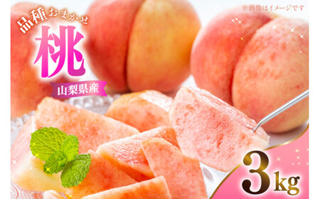 桃 山梨県産 桃 3kg 品種おまかせ   [さとう農園 山梨県 中央市 21471042] 白桃 白鳳 もも モモ フルーツ 果物 くだもの 【2026年7月上旬～9月上旬発送予定】