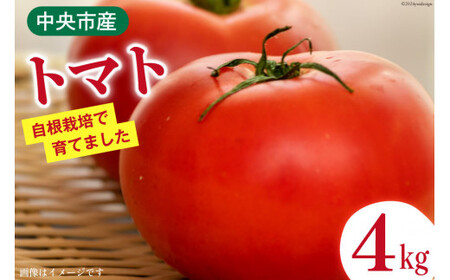 トマト 中央市産トマト 4kg 18～24個 [とまと舎たかの 山梨県 中央市 21470758] 野菜 やさい とまと 甘い リコピン 【2025年11月上旬～2026年3月下旬発送予定】