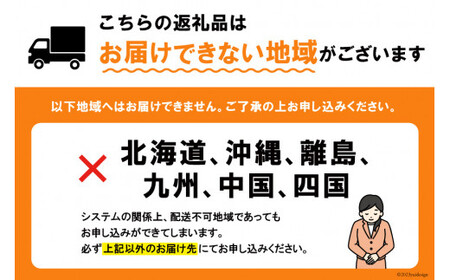 トマト 中央市産トマト 4kg 18～24個 [とまと舎たかの 山梨県 中央市 21470758] 野菜 やさい とまと 甘い リコピン 【2025年11月上旬～2026年3月下旬発送予定】