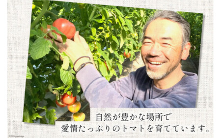 トマト 中央市産トマト 4kg 18～24個 [とまと舎たかの 山梨県 中央市 21470758] 野菜 やさい とまと 甘い リコピン 【2025年11月上旬～2026年3月下旬発送予定】