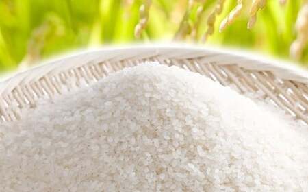 【令和7年産】たとみ農園のお米 ヒノヒカリ 2kg ／ お米 米 コメ こめ ご飯 白ご飯 白ごはん 白米 はくまい たとみ農園 山梨県産 国産 単一原料米 精米 山梨県 中央市 常温