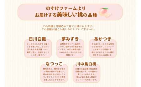 桃 2kg （5～6玉） もも モモ ピーチ 果物 フルーツ 山梨県産 国産 【2026年6月下旬～8月下旬発送予定】