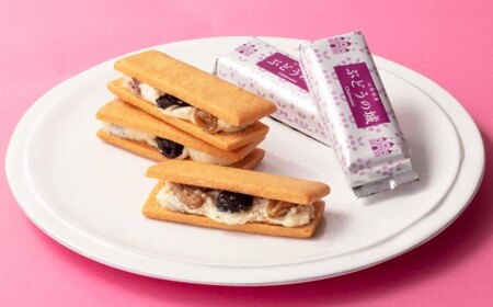 【シャトレーゼ】 山梨県限定 レーズンサンド 10個 ゴールデンレーズン フレームシードレスレーズン 洋酒漬けレーズン ホワイトチョコレート バター 4,000円