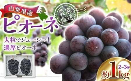 山梨県産ピオーネ 約1kg ピオーネ 葡萄 ブドウ ぶどう フルーツ くだもの 果物 果実 濃厚 大粒 国産 山梨県産 【 2026年9月上旬～10月下旬発送予定 】