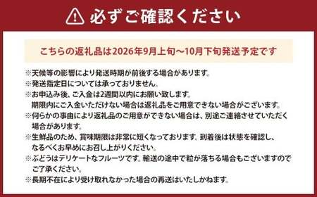 山梨県産ピオーネ 約1kg ピオーネ 葡萄 ブドウ ぶどう フルーツ くだもの 果物 果実 濃厚 大粒 国産 山梨県産 【 2026年9月上旬～10月下旬発送予定 】