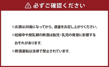 Kiwi Hayward 330ml×3本 お酒 酒 アルコール ビール 地ビール キウイ フルーツビール クラフトビール 【市川三郷町共通返礼品】