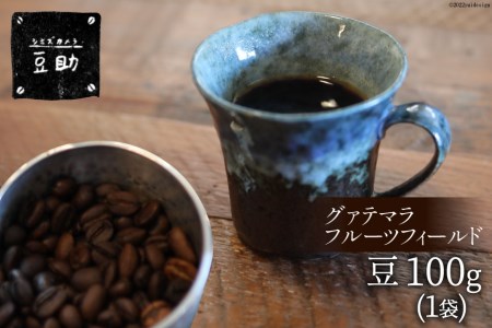 コーヒー 豆 グァテマラフルーツフィールド 100g×1袋 珈琲 / 豆助 / 山梨県 中央市