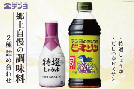 調味料 テンヨ お試し 2種セット 特選しょうゆ & だしつゆビミサン 詰め合わせ TP-10B / 武田食品 / 山梨県 中央市