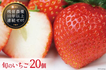 旬のいちご 2~3種類 詰合せ 20個 / 築宝 / 山梨県 中央市