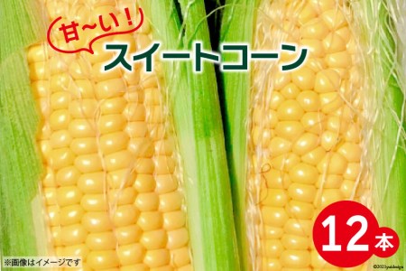 甘~い ! スイートコーン 12本 / よしろーさんちの農園 / 山梨県 中央市