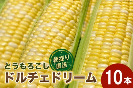 【先行予約】とうもろこし ドルチェドリーム 10本 朝採り 新鮮 期間限定 トウモロコシ 甘い ジューシー 野菜 農家直送 / マルヨシ園芸 / 山梨県 中央市