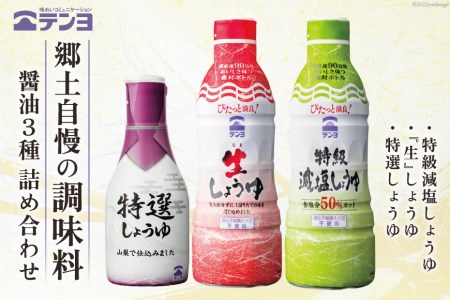 調味料 郷土の味 醤油 3種 詰合せ 特選 しょうゆ 200ml×1本 & 生 しょうゆ 450ml×1本 & 減塩 しょうゆ 450ml×1本 TP-10A / 武田食品 / 山梨県 中央市