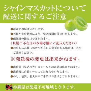 シャインマスカット 【2026年発送】秀品 山梨 2房 (約1.1kg) ぶどう 葡萄 山梨県 フルーツ 果物 くだもの ギフト 産地直送 人気 Inakakara厳選 [5839-1978]