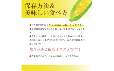 甘々娘　２Lサイズ　12本入り　【2026年5月下旬から発送】　渡邉農園[5839-1997]