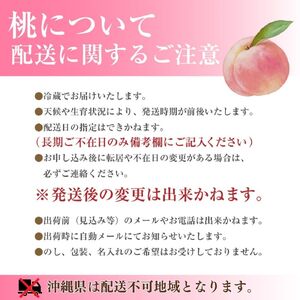 【市川三郷町産】プレミアム 桃2玉　【2026年7月中旬から発送】！Inakakara[5839-2017]