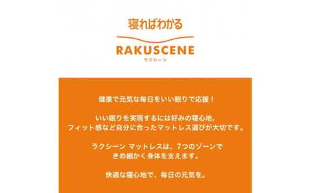 昭和西川 ラクシーン デラックス マットレス セミダブル 体圧分散 通気性 寝返りサポート 理想的な寝姿勢 快眠 不眠解消 夫婦 背骨 不眠 蒸れにくい 新生活 健康 熟睡 引越し ふとん [5839-2055]