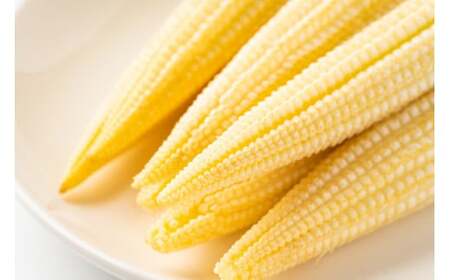 【2026年5月上旬から発送】甘々娘のヤングコーン　2kg　約30本入り 渡邊農園 市川三郷町産[5839-1995]