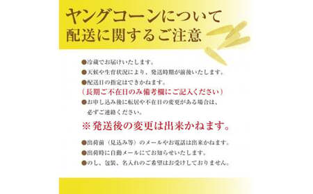 【2026年5月上旬から発送】甘々娘のヤングコーン　2kg　約30本入り 渡邊農園 市川三郷町産[5839-1995]