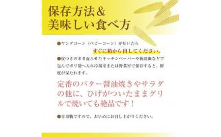 【2026年5月上旬から発送】甘々娘のヤングコーン　2kg　約30本入り 渡邊農園 市川三郷町産[5839-1995]