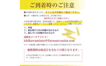 【2026年5月上旬から発送】甘々娘のヤングコーン　2kg　約30本入り 渡邊農園 市川三郷町産[5839-1995]