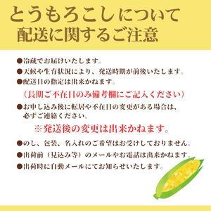 2026年6月中旬から発送【朝採り】ドルチェドリーム(とうもろこし)　６本入り（約2.5kg）　ヒルサイドオーチャード[5839-2088]