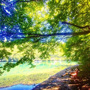 「湖畔の楽園ドラゴンサウナ」サウナご利用１名様分チケット[5839-2125] 