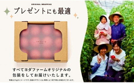 【中央市共通返礼品】 春作 トマト 桃太郎 約2kg とまと 野菜 やさい 2キロ 季節限定 期間限定 産地直送 山梨県産 【2026年4月上旬-6月下旬発送予定】[5839-2128]