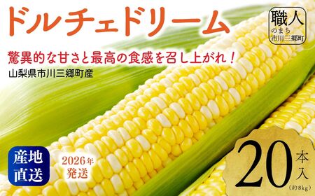 2026年発送！【山梨県市川三郷町産】Inakakara「ドルチェドリーム」20本入[5839-2166]