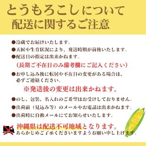2026年発送！【山梨県市川三郷町産】Inakakara「ドルチェドリーム」20本入[5839-2166]