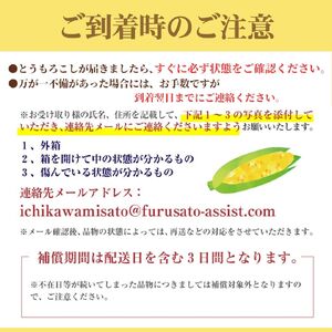 2026年発送！【山梨県市川三郷町産】Inakakara「ドルチェドリーム」20本入[5839-2166]