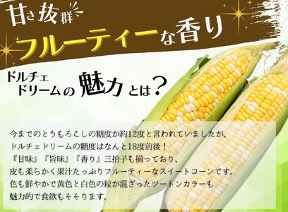 【2026年6月上旬から発送】ドルチェドリーム 6本入り REGALO（山梨県市川三郷町産） [5839-2228] 