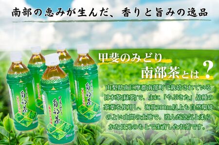甲斐のみどり 南部茶 ペットボトル 500ml 1箱 24本入り 山梨みらい農業協同組合　南部茶業センター 【南部町共通返礼品】  [5839-2235]