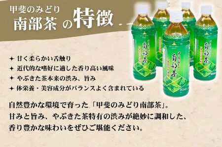 甲斐のみどり 南部茶 ペットボトル 500ml 1箱 24本入り 山梨みらい農業協同組合　南部茶業センター 【南部町共通返礼品】  [5839-2235]