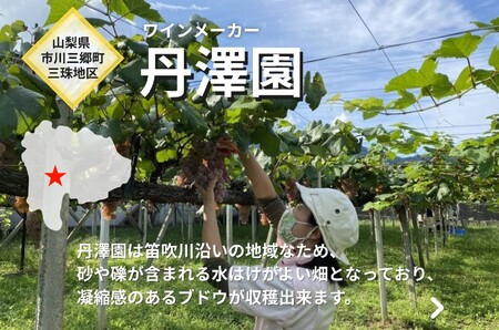 ワイン 赤ワイン 山梨 750ml 「三珠プティ・ヴェルド　キュヴェ・タンザワ」 シャトー・メルシャン [5839-2265]