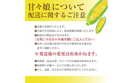 【2026年6月上旬から発送】市川三郷町産　とうもろこし 甘々娘　2Lサイズ 12本入り Dragon Farm 山梨県 市川三郷町 人気 スイートコーン コーン トウモロコシ 朝採り 先行 先行予約 甘い 野菜 夏野菜 BBQ ドラゴン ファーム [5839-2324] 
