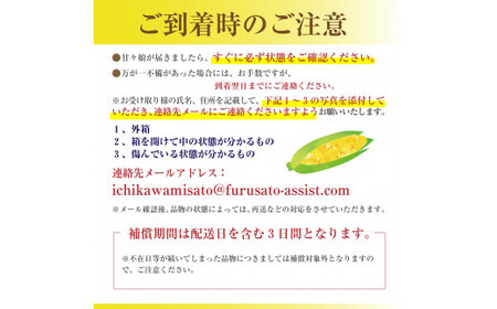 【2026年6月上旬から発送】市川三郷町産　とうもろこし 甘々娘　2Lサイズ 12本入り Dragon Farm 山梨県 市川三郷町 人気 スイートコーン コーン トウモロコシ 朝採り 先行 先行予約 甘い 野菜 夏野菜 BBQ ドラゴン ファーム [5839-2324] 