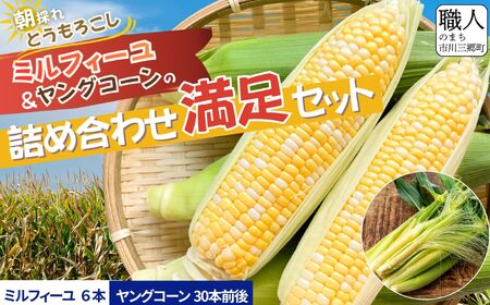 奇跡の1週間 バイカラースイートコーン《ミルフィーユ》＆朝採れヤングコーン詰め合わせ｜1株1果の“除房仕立て” 高糖度・大満足セット　【2026年5月下旬から発送】　アグリ甲斐 [5839-2331]