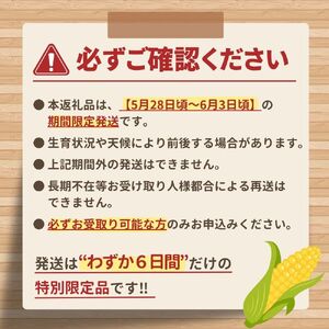 奇跡の1週間 バイカラースイートコーン《ミルフィーユ》＆朝採れヤングコーン詰め合わせ｜1株1果の“除房仕立て” 高糖度・大満足セット　【2026年5月下旬から発送】　アグリ甲斐 [5839-2331]