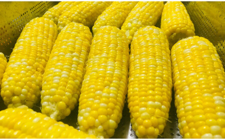 【レストラン特製】 山梨 スイートコーンを使用した焼とうもろこしの冷製スープ （４袋入り） [5839-1399]