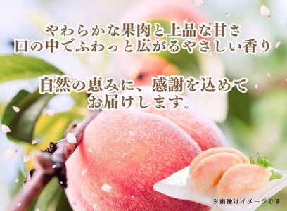 山梨の桃 5～6玉 2kg箱　2026年7月中旬から発送　大倉農園[5839-0005]
