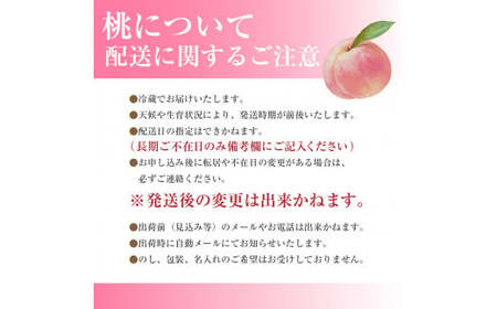 山梨の桃 5～6玉 2kg箱　2026年7月中旬から発送　大倉農園[5839-0005]